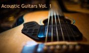 Acoustic Guitars Volume 1